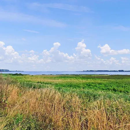 2 Bedroom Stunning In Appartement